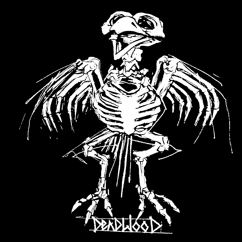 image dead bird skeleton